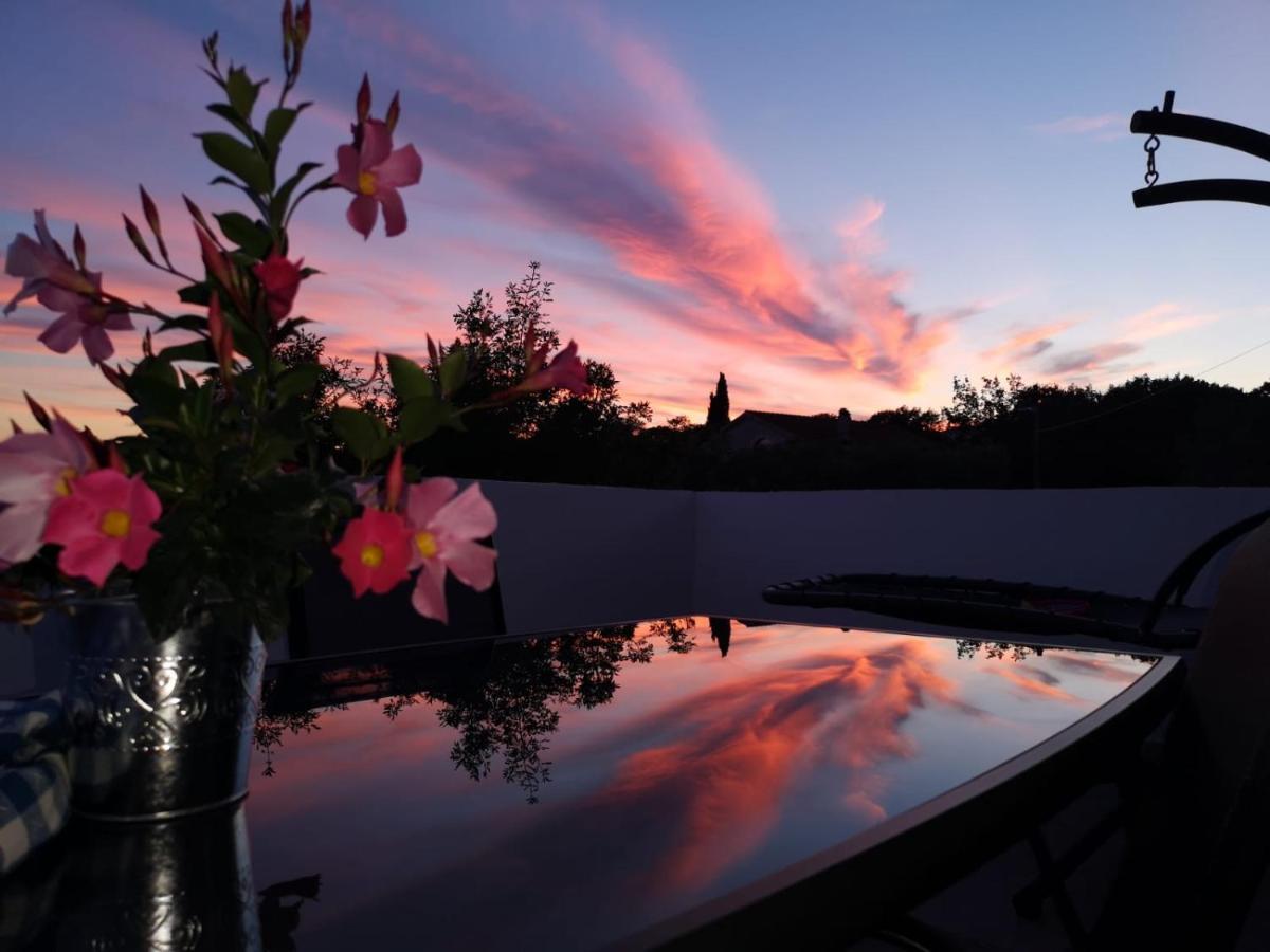 Apartment Kosic Zgaljic Dış mekan fotoğraf